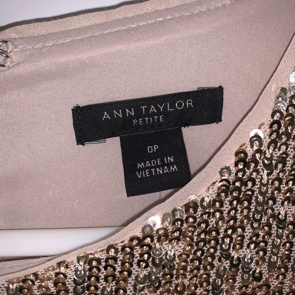 Ann Taylor Sequin Dress 0P NWT - Picture 8 of 9